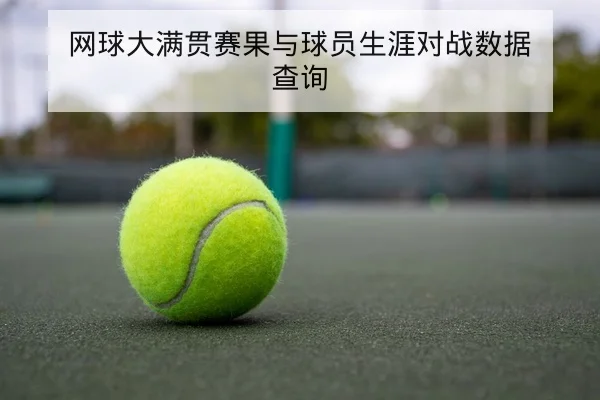 网球大满贯赛果与球员生涯对战数据查询